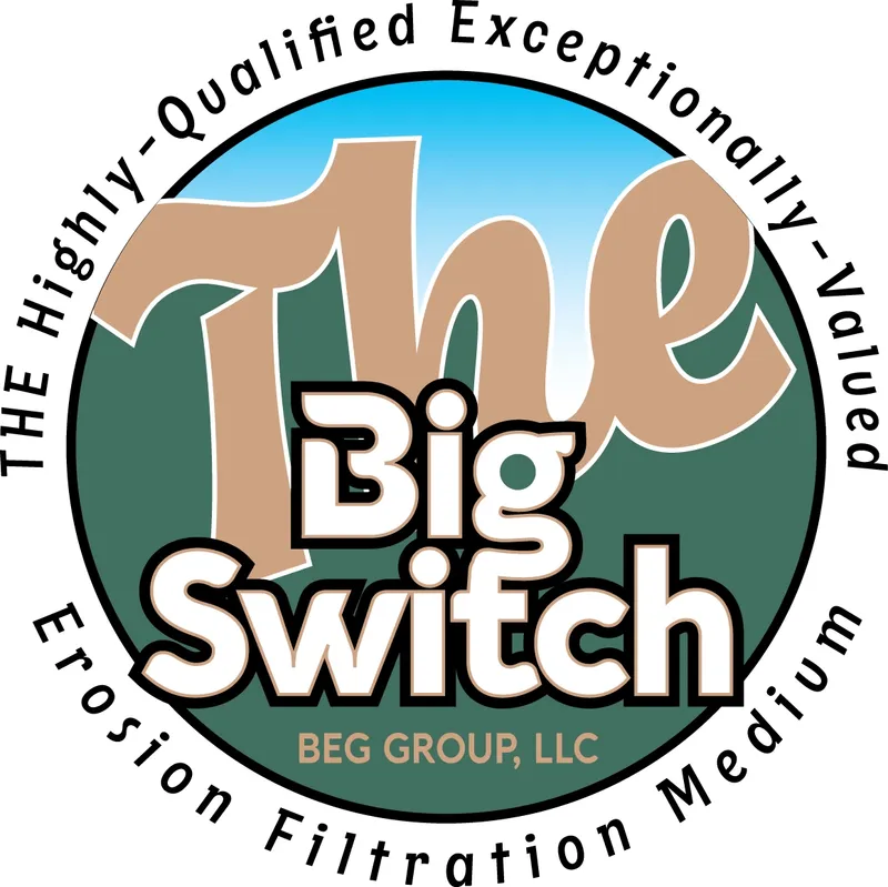 TheBigSwitch Logo